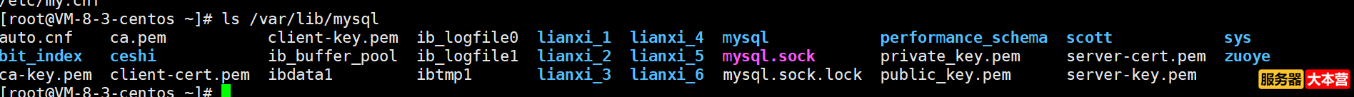 Linux系统之MySQL数据库基础知识